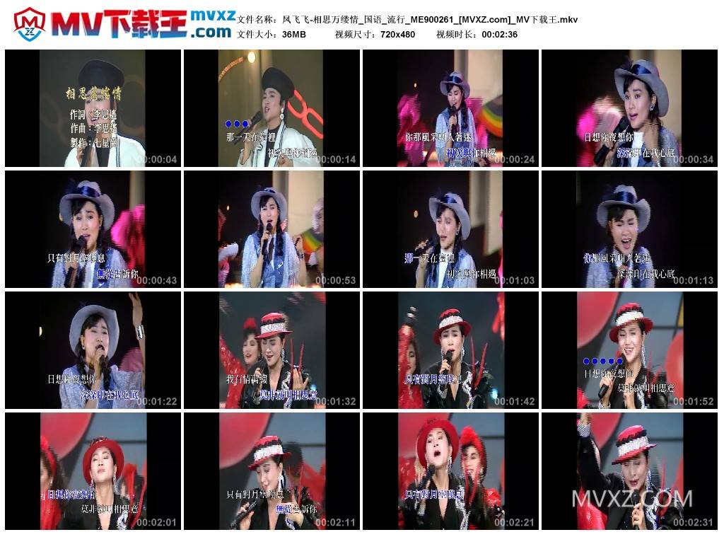 凤飞飞-相思万缕情_国语_流行_ME900261